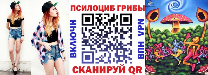 Псилоцибиновые грибы Psilocybe  ОМГ ОМГ ссылка  Кузнецк 